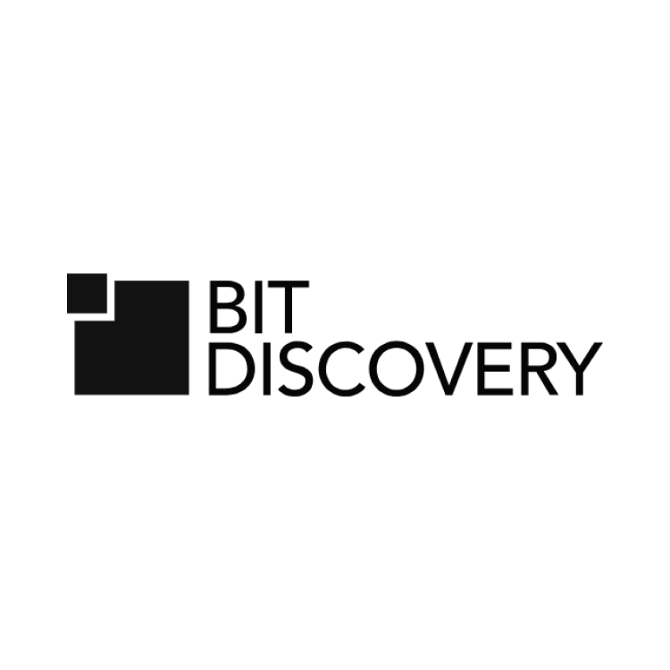 Bit Discovery